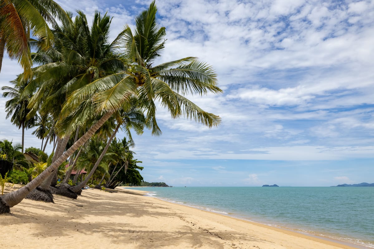 Tropical palm trees leaning over a quiet sandy beach with calm blue sea in Hainan
