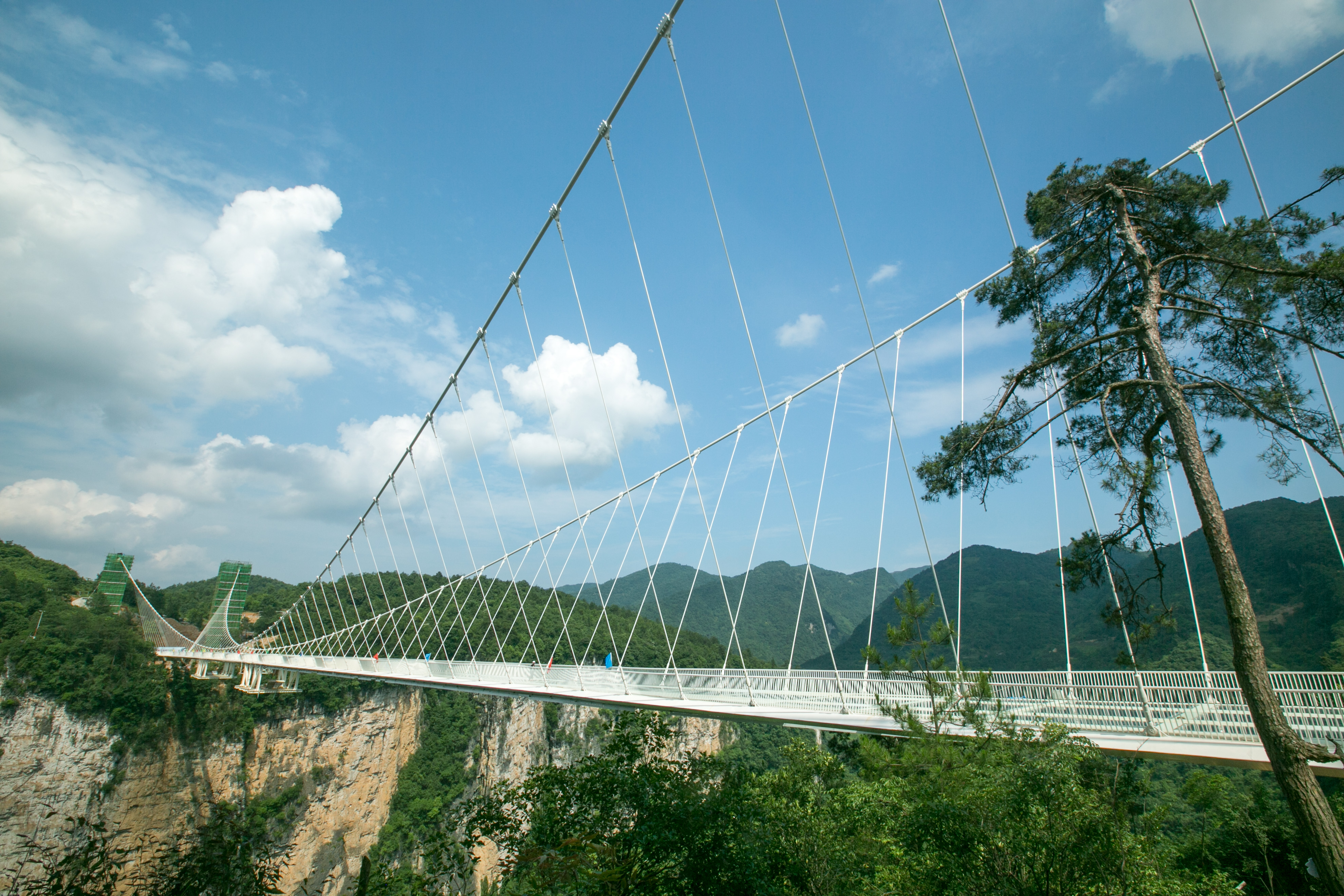 The glass-bottomed bridge over Zhangjiajie Grand Canyon