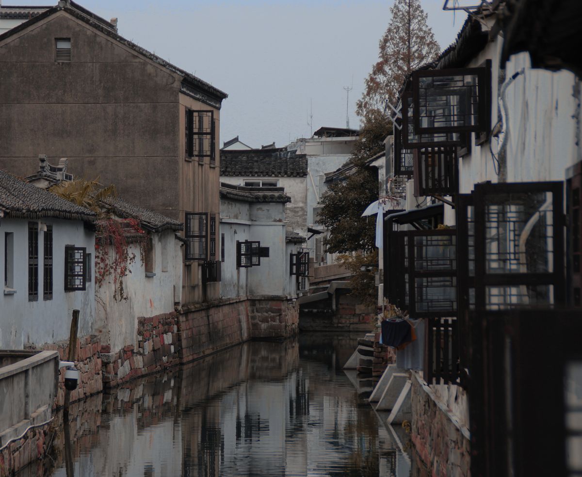 Whitewashed Jiangnan houses lining a tranquil old-town canal in Suzhou