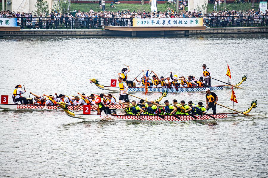 A dragon boat race, with teams paddling to the beat of a drum