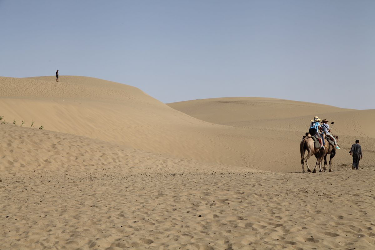A camel caravan crossing the dunes outside Dunhuang