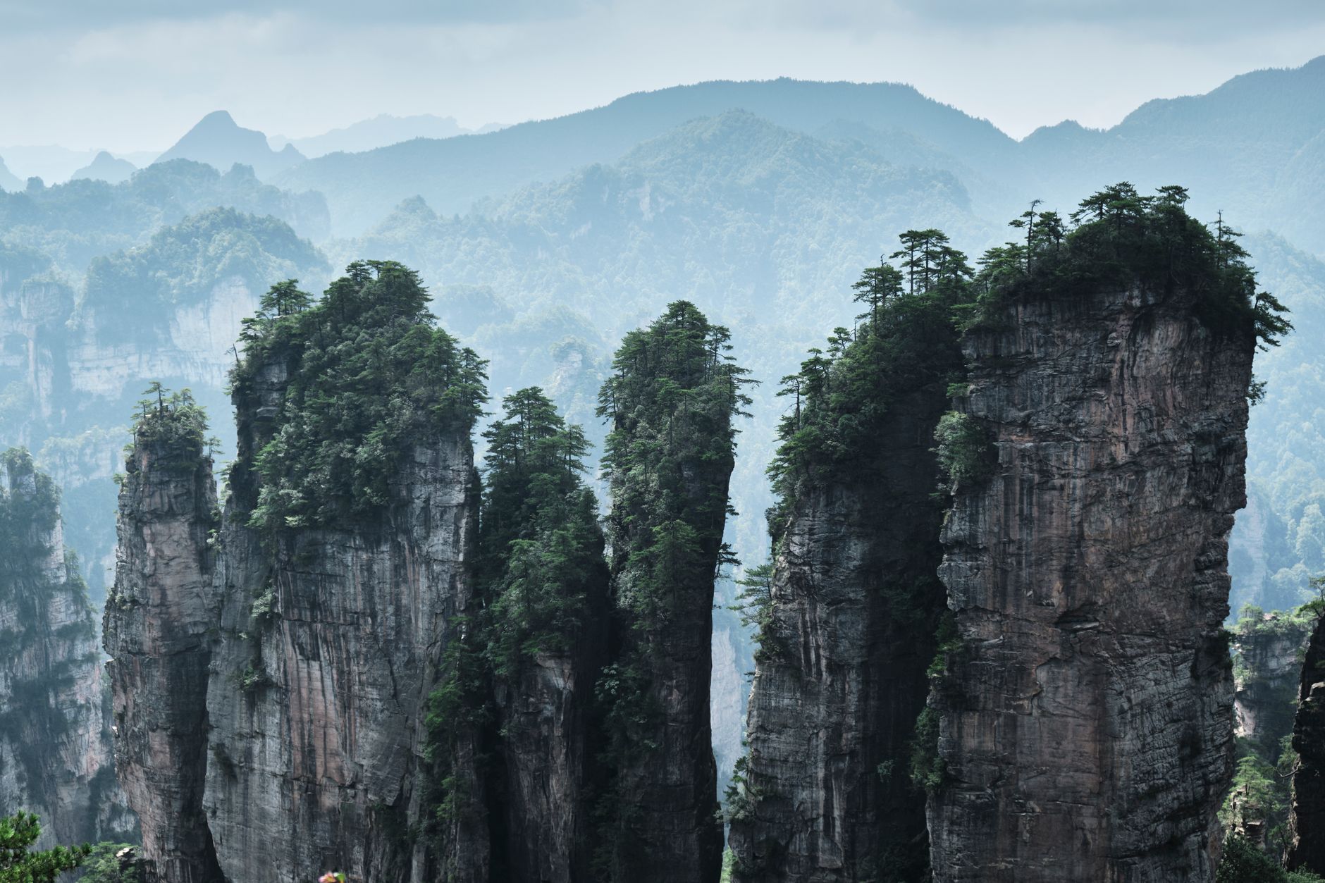 Panorama over the peak forest
