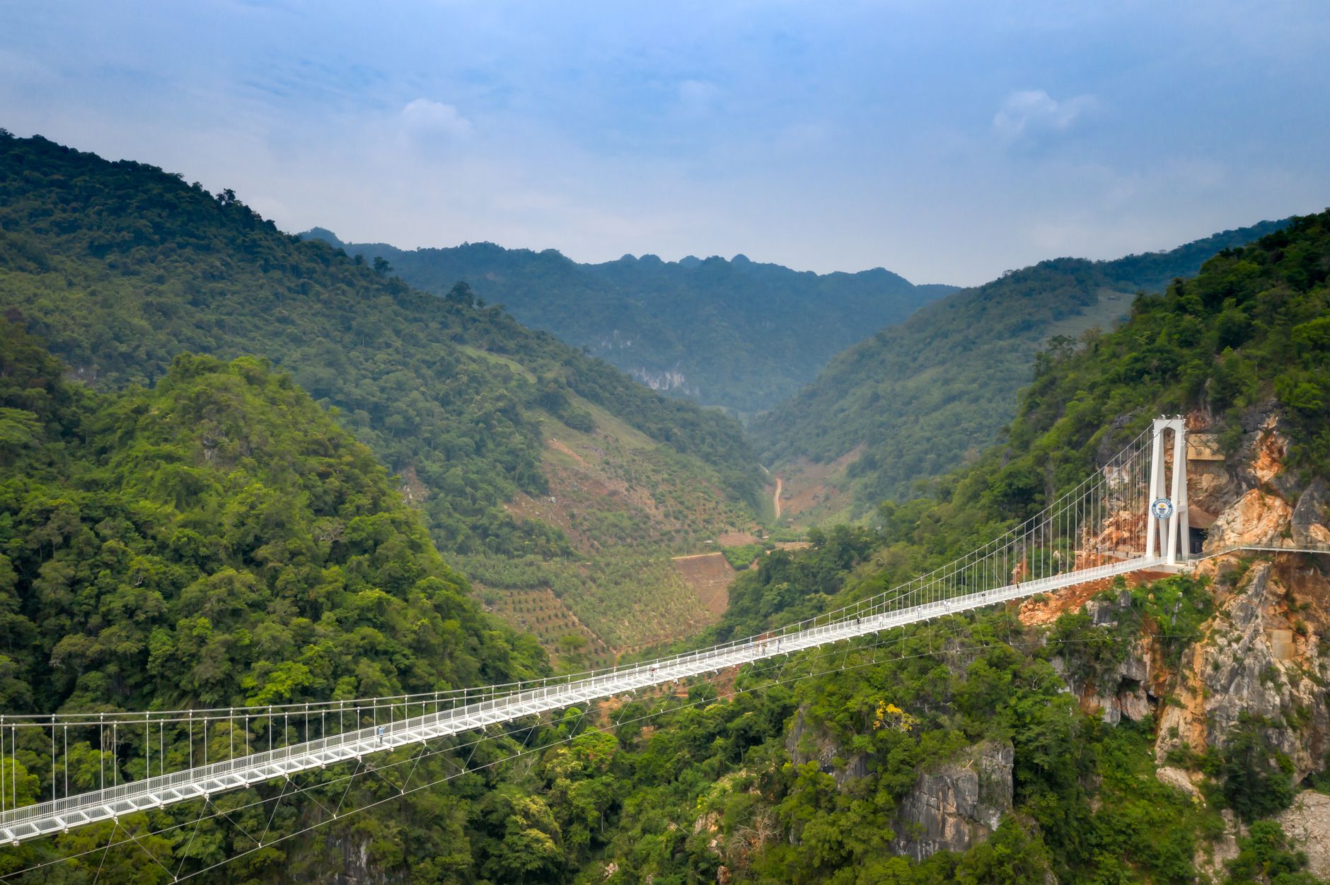 The glass bridge spanning the forested Zhangjiajie Grand Canyon