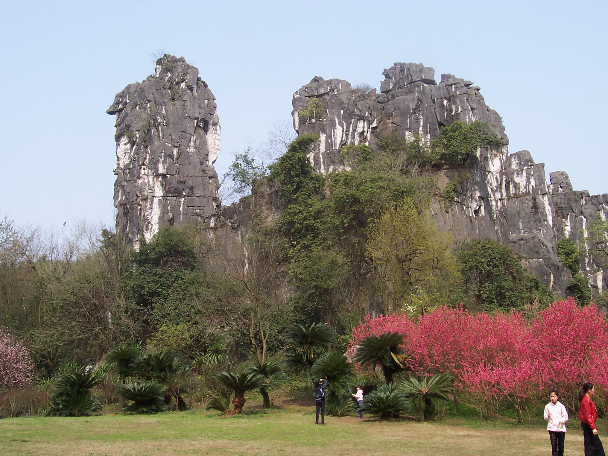 Karst scenery inside Seven Star Park, Guilin