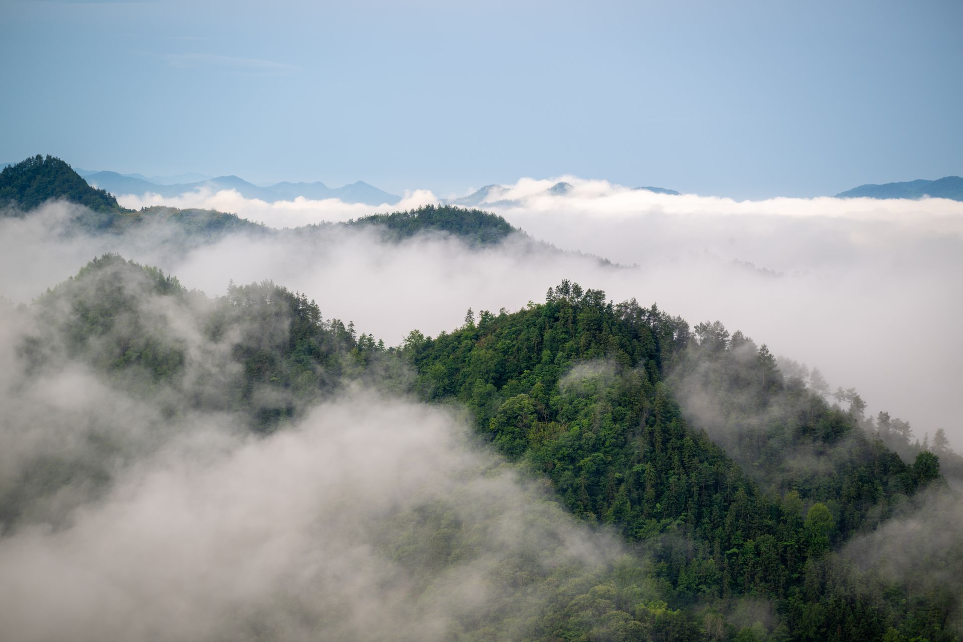 Misty green mountains and cloud sea at Qiyun