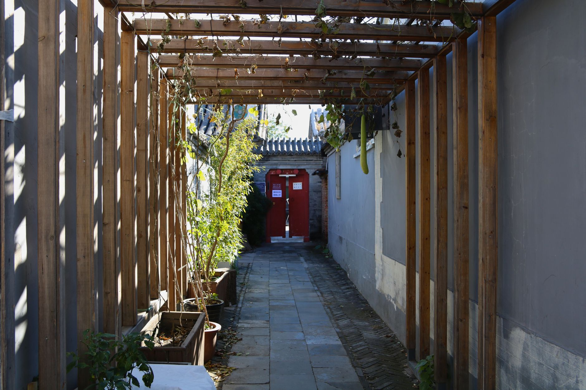 A tranquil hutong courtyard entrance with a traditional red gate