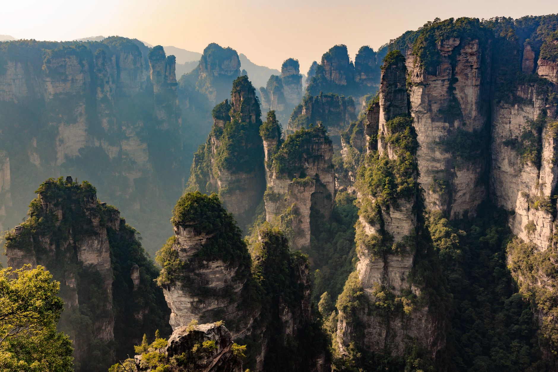 Misty stone pillars rising above the forest at Yuanjiajie