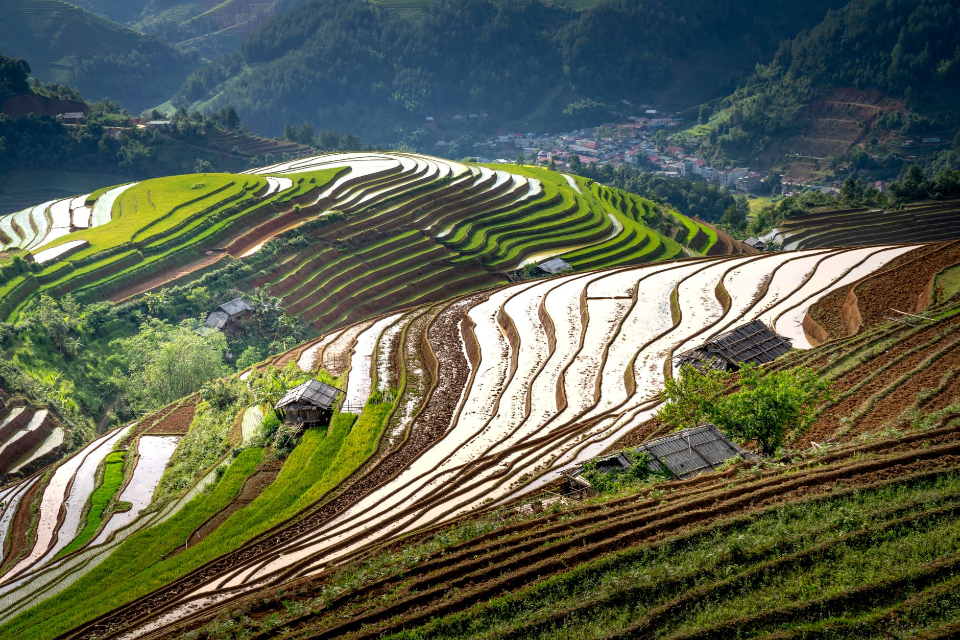 Terrazas de Arroz de Longji