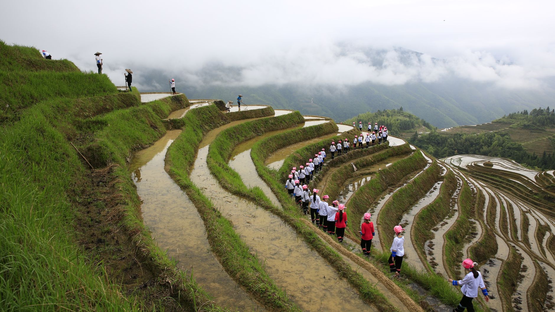 Red Yao women walking the curved terraces at Longji
