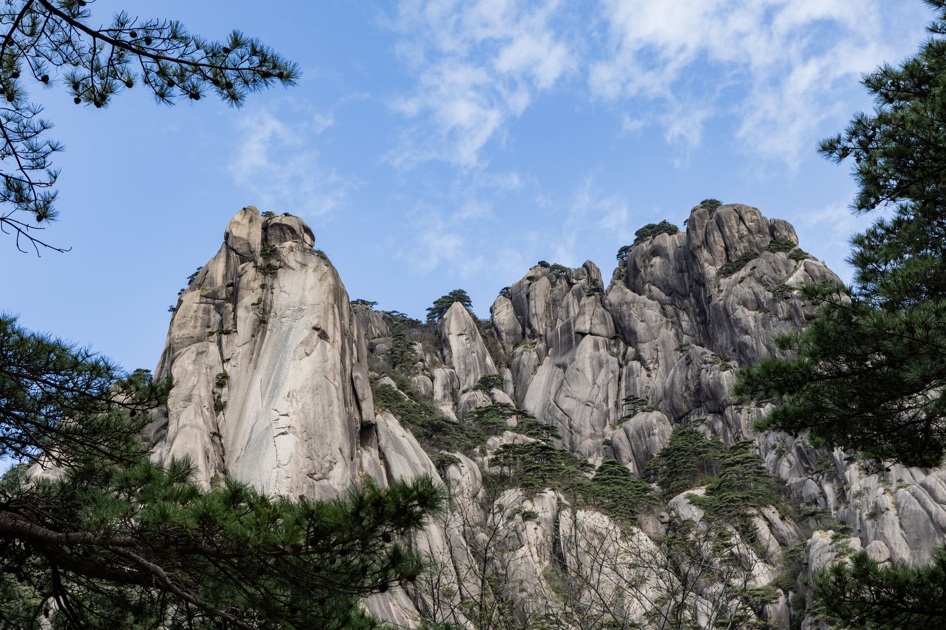 Jagged granite peaks and pines on the ridges of Mount Huangshan
