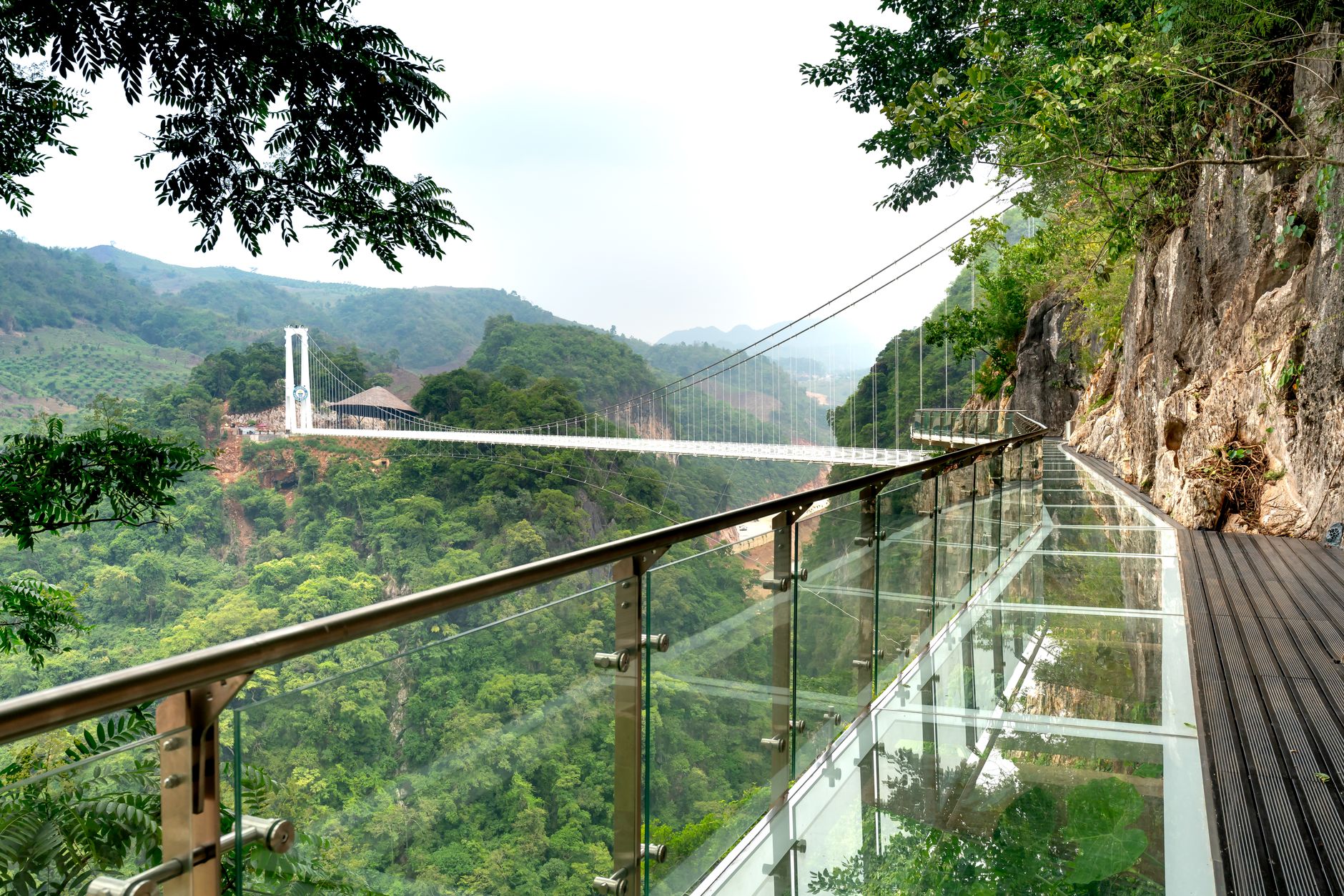 A glass-floored skywalk clinging to a forested cliff in the Zhangjiajie area