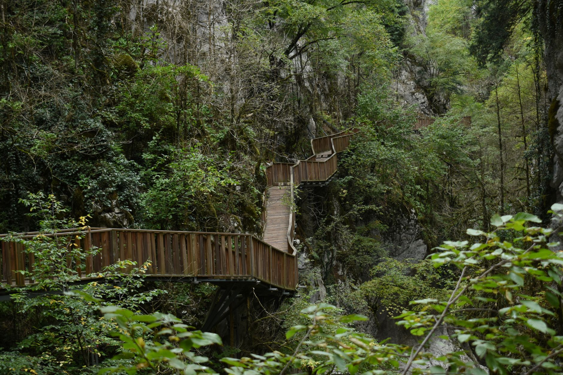 Wooden boardwalk trail winding through a forested Zhangjiajie gorge
