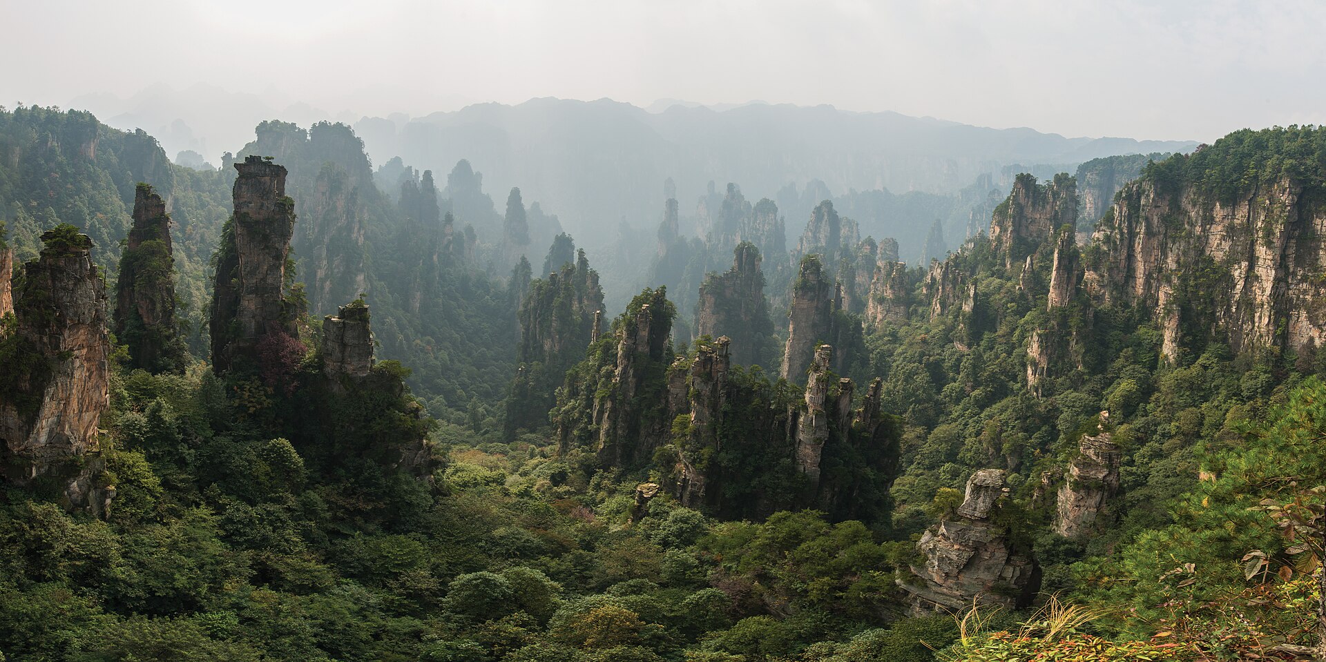 Panorama of hundreds of quartzite sandstone pillars at Tianzi Mountain, Wulingyuan