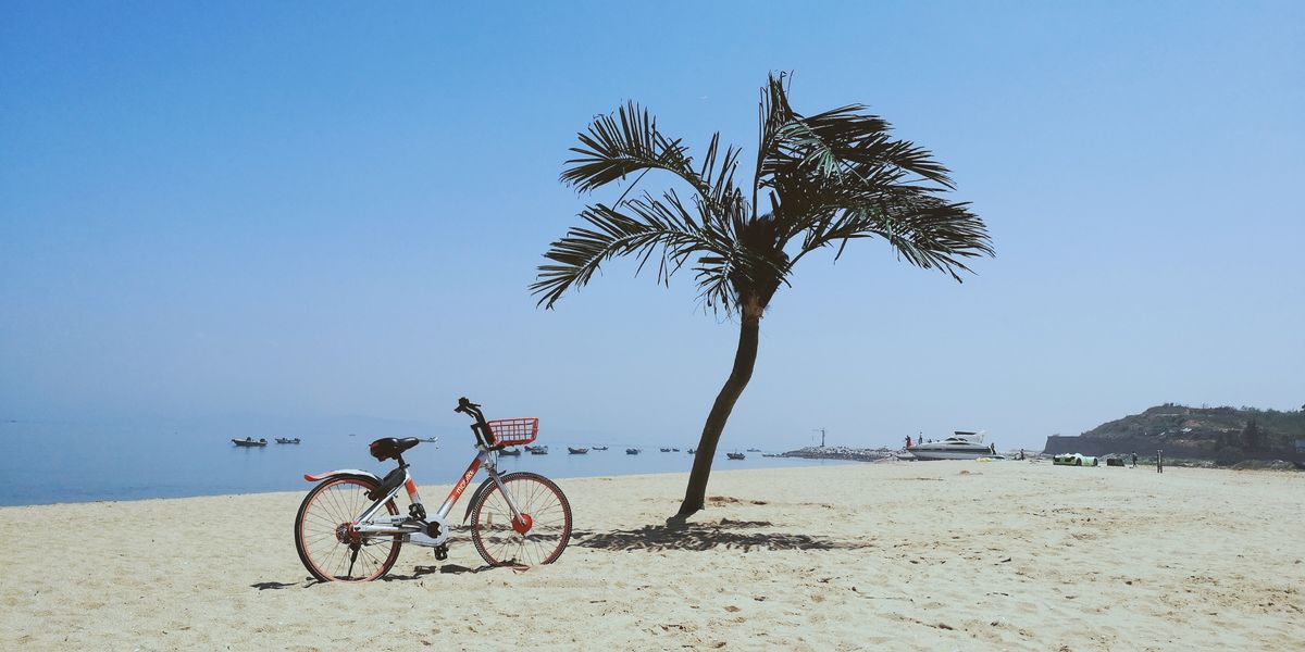 A quiet Xiamen beach with a bicycle leaning against a palm tree
