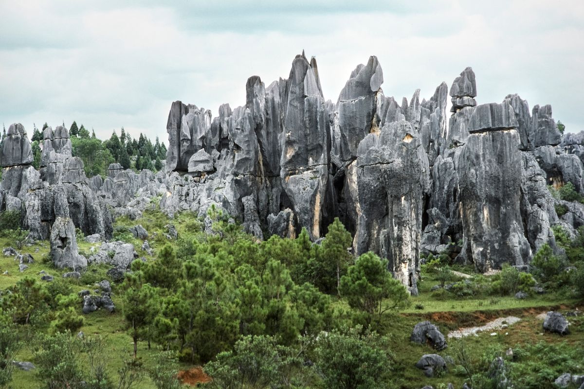 Limestone pinnacles of the Stone Forest under a blue sky