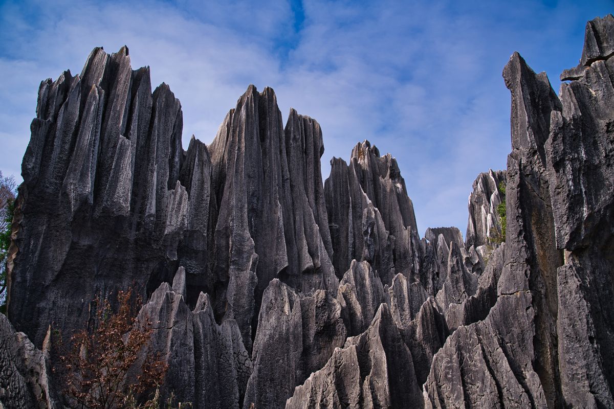Stone Forest rock formations with green pines